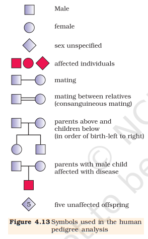 Figure 4.13 Symbols used in pedigree analysis