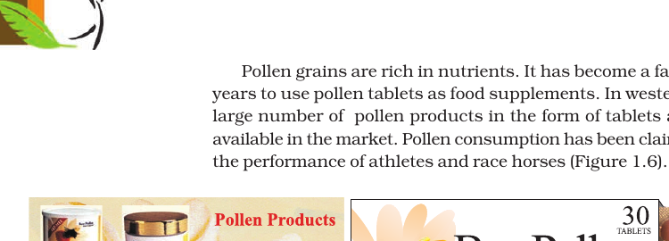 Figure 1.6 Pollen products (food supplements)